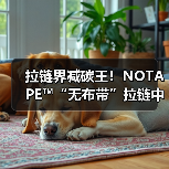 拉链界减碳王！NOTAPE™“无布带”拉链中国首秀（图2）