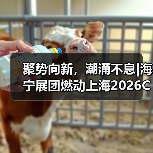 聚势向新，潮涌不息|海宁展团燃动上海2026CHIC春季展
