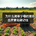 为什么简单字母的奢侈品牌更易被记住(图2) 为什么简单字母的奢侈品牌更易被记住(图2)