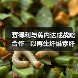 赛得利与蕉内达成战略合作――以再生纤维素纤维为核心,共同推进中国服装产业高质量升级(图2) 赛得利与蕉内达成战略合作――以再生纤维素纤维为核心,共同推进中国服装产业高质量升级(图2)