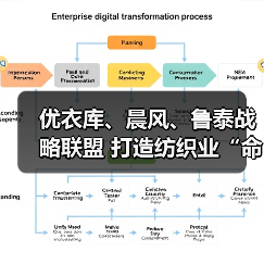优衣库、晨风、鲁泰战略联盟 打造纺织业“命运共同体”