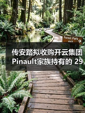 传安踏拟收购开云集团 Pinault家族持有的 29%彪马股权,背后有何考量?(图1) 传安踏拟收购开云集团 Pinault家族持有的 29%彪马股权,背后有何考量?(图1)