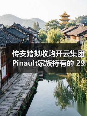 传安踏拟收购开云集团 Pinault家族持有的 29%彪马股