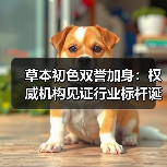 草本初色双誉加身：权威机构见证行业标杆诞生