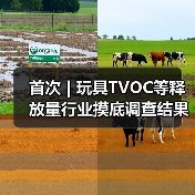 首次 | 玩具TVOC等释放量行业摸底调查结果发布(图2) 首次 | 玩具TVOC等释放量行业摸底调查结果发布(图2)
