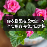 穿衣搭配技巧大全:5个实用方法搞定日常场景穿搭(图2) 穿衣搭配技巧大全:5个实用方法搞定日常场景穿搭(图2)