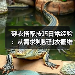 穿衣搭配技巧日常经验:从需求判断到衣橱维护全指南(图4) 穿衣搭配技巧日常经验:从需求判断到衣橱维护全指南(图4)