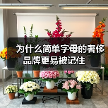 为什么简单字母的奢侈品牌更易被记住