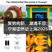聚势向新，潮涌不息|海宁展团燃动上海2026CHIC春季展