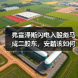 弗雷泽斯闪电入股彪马成二股东,安踏该如何应对?(图2) 弗雷泽斯闪电入股彪马成二股东,安踏该如何应对?(图2)