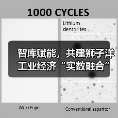 智库赋能,共建狮子洋工业经济“实数融合”创新中心活动成功举办(图4) 智库赋能,共建狮子洋工业经济“实数融合”创新中心活动成功举办(图4)